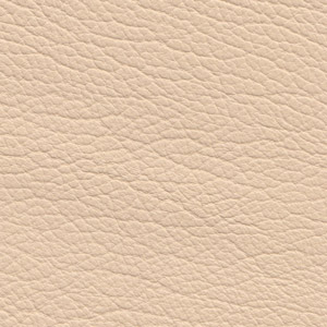 Pelle Buffalo colore Panna