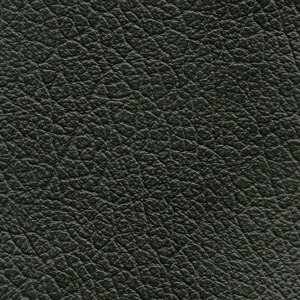 Pelle Buffalo colore Grün