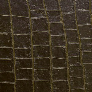 Pelle Pitone colore Olive